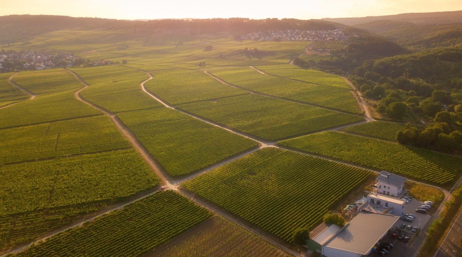 Weingut Sohns Luftaufnahme | © Leonie Magnus