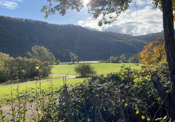 Moselchalet Koblenz Ausblick Herbst | © Stefanie Käfer