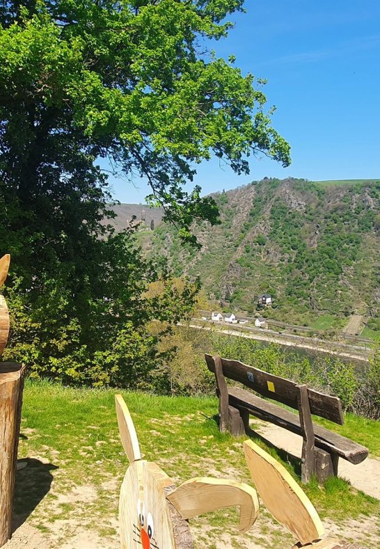 Ruhebank mit Blick auf die Burg Maus | © T. Biersch