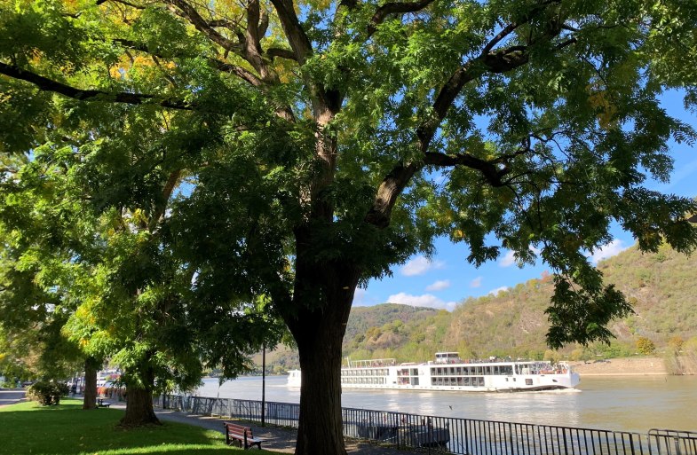 Rheinallee | © Tourist Information Boppard