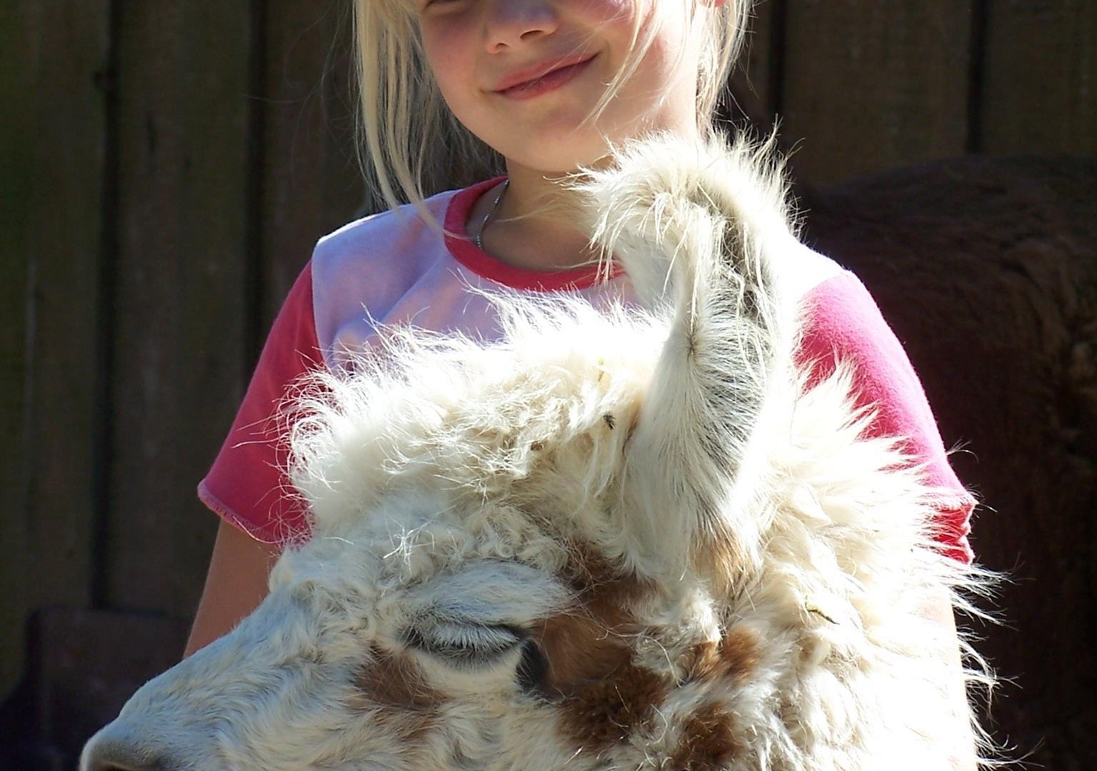 Lama- und Alpakafarm Kisselmühle | © Lama- und Alpakafarm Kisselmühle