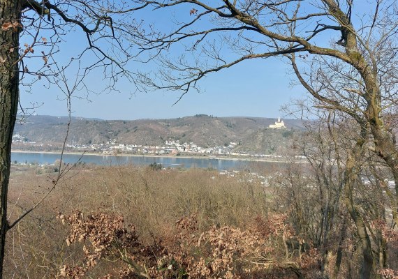 Ausblick Herbst | © Tourist-Information Erlebnis Rheinbogen