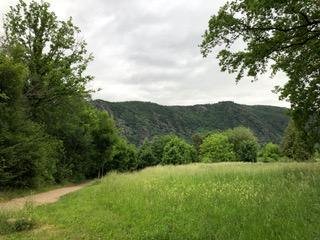 Weg am Kurpark | © Tourist Information Boppard