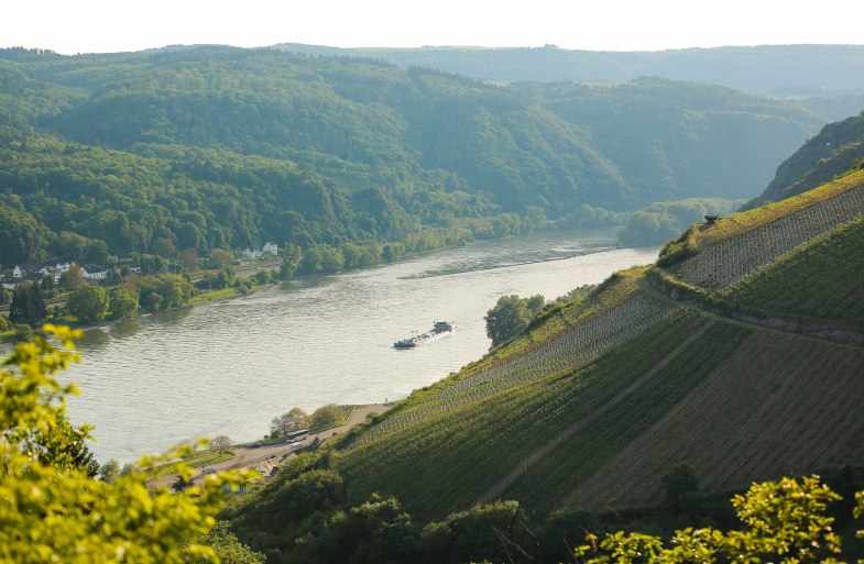 Steep vineyards near St. Goarshausen | © Henry Tornow