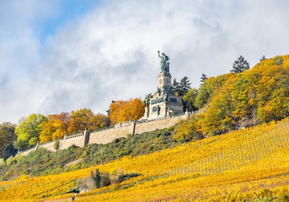 Niederwalddenkmal* | © Marlies Steinmetz