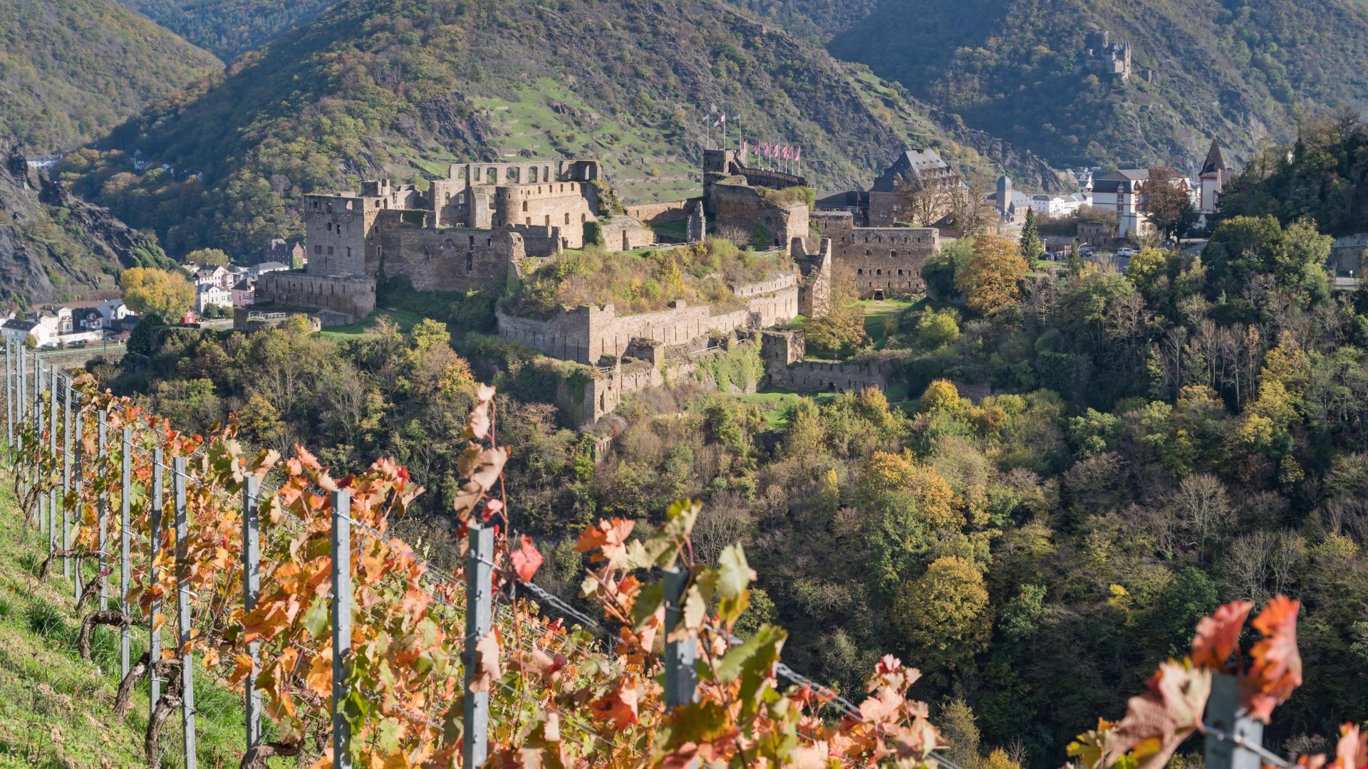 Rheinfels im Herbst | © Andreas Pacek, fototour-deutschland.de