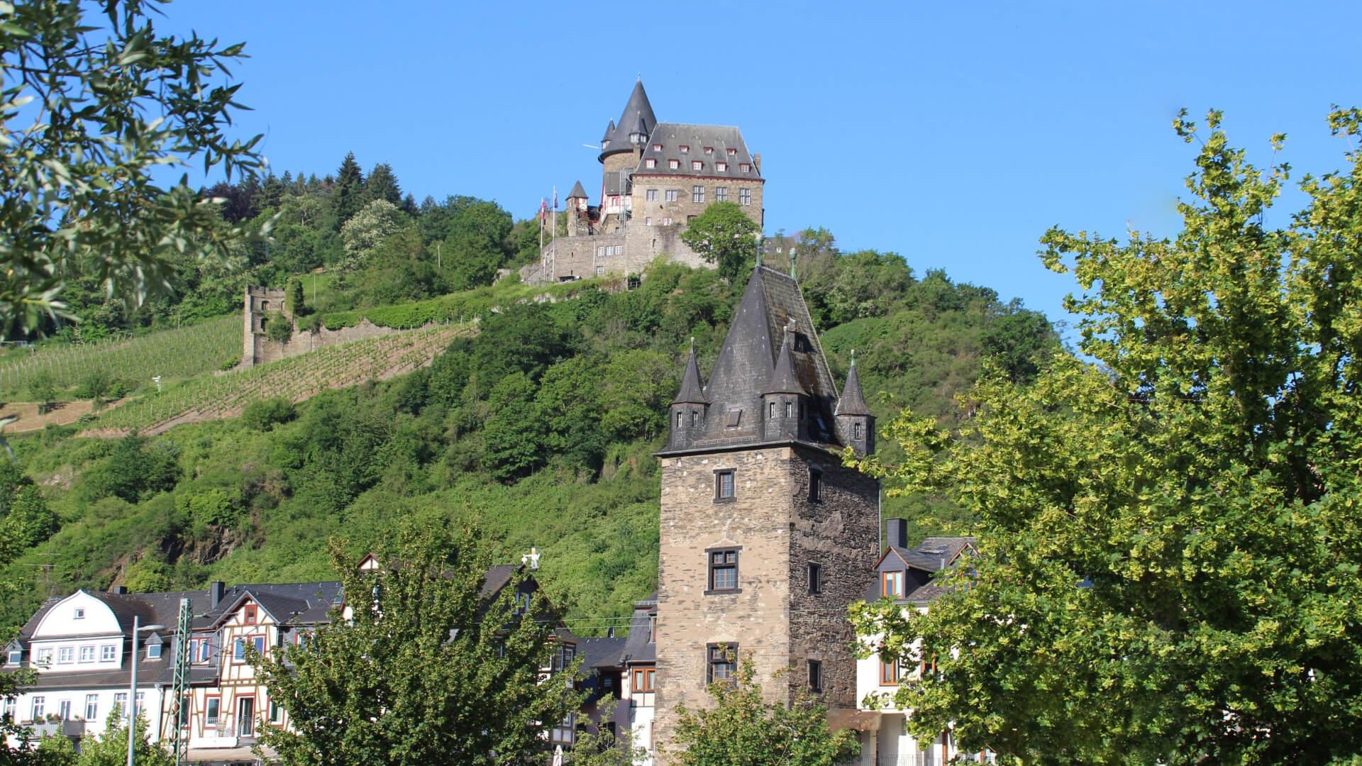 Markturm Ansicht vom Rhein | © RNT