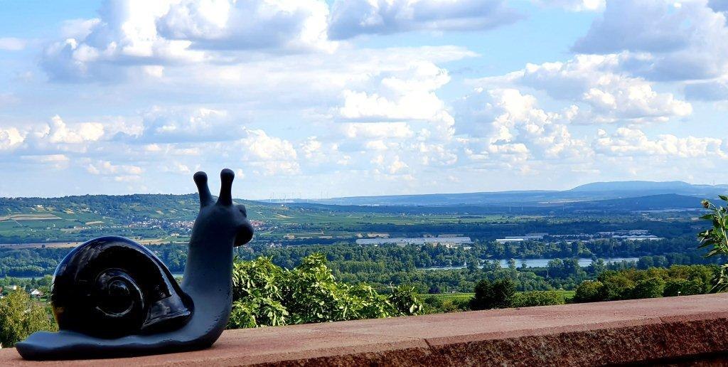 Ausblick Rheinblick | © Weingut Hof Rheinblick