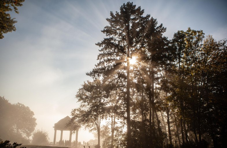 Osteinscher Niederwald Park | © HA Hessen Tourismus, k22