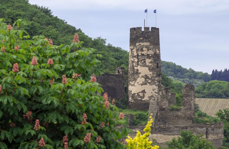 Fürstenberg im Frühjahr | © Friedrich Gier