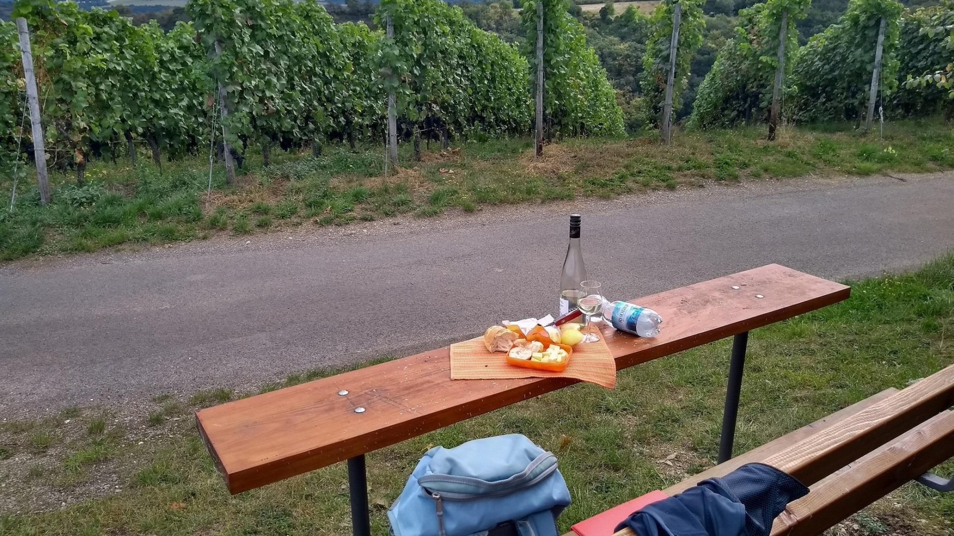 Picknickbank am Weinberg | © E. Bender