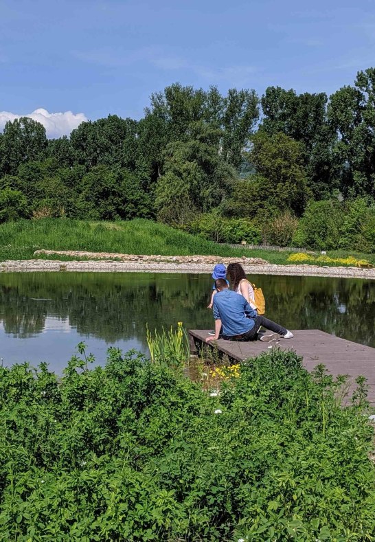 Teich im Nabu Zentrum | © Nabu Zentrum Rheinauen