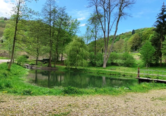 Weiher Marienberger Park | © Tourist Information Boppard