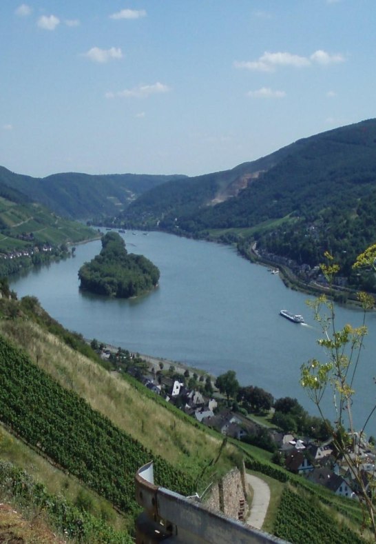 Ausblick von den Wanderwegen in Lorch | © Brigitte Nies