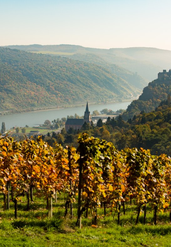 Oberwesel | © Henry Tornow