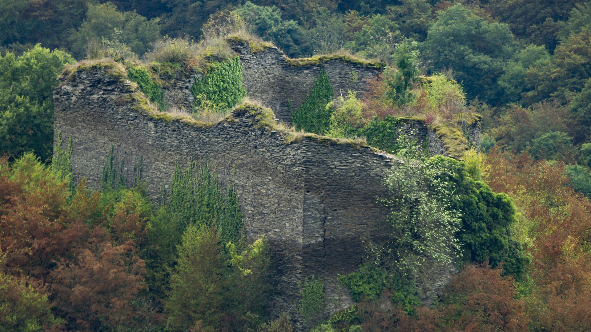 Rauschenburg | © Kappest