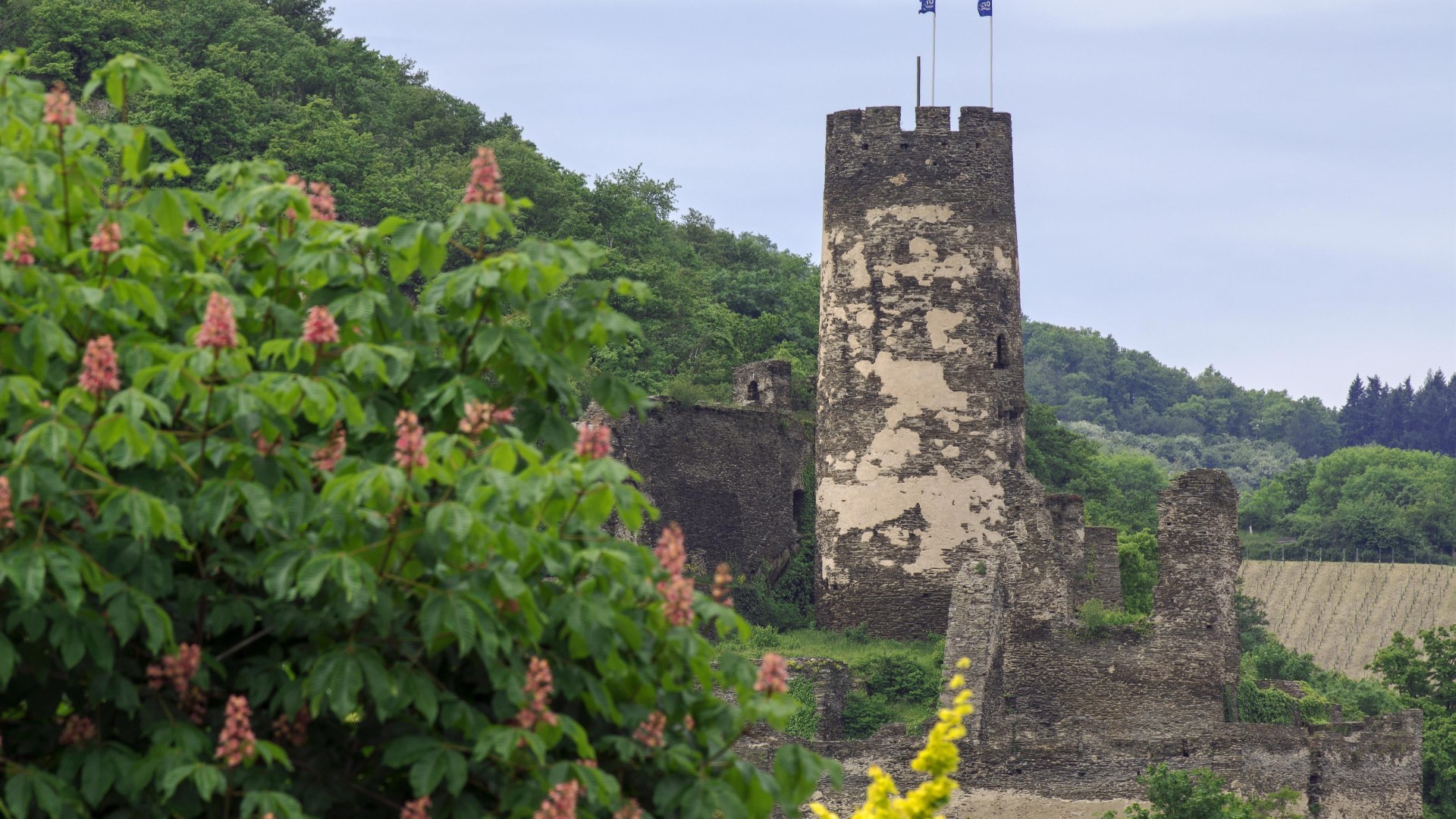 Fürstenberg im Frühjahr | © Friedrich Gier