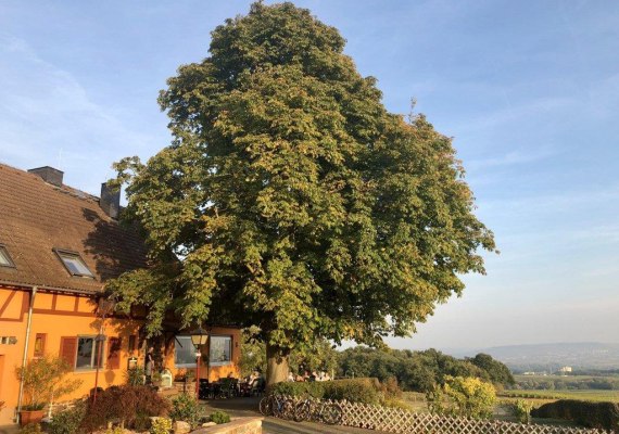 Außenansicht Haus | © Weingut Hof Rheinblick