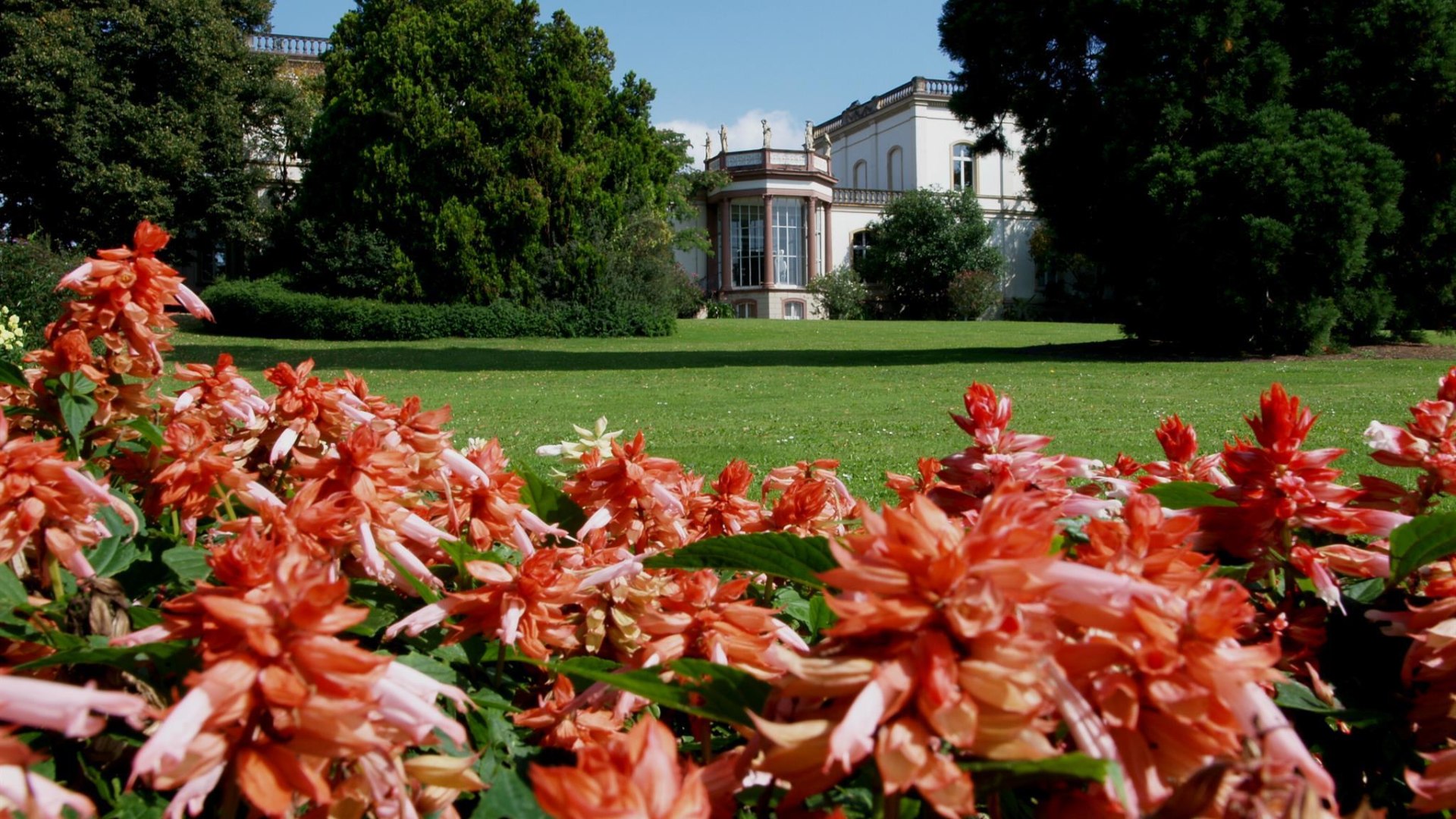 Park Monrepos Garten | © Hochschule Geisenheim