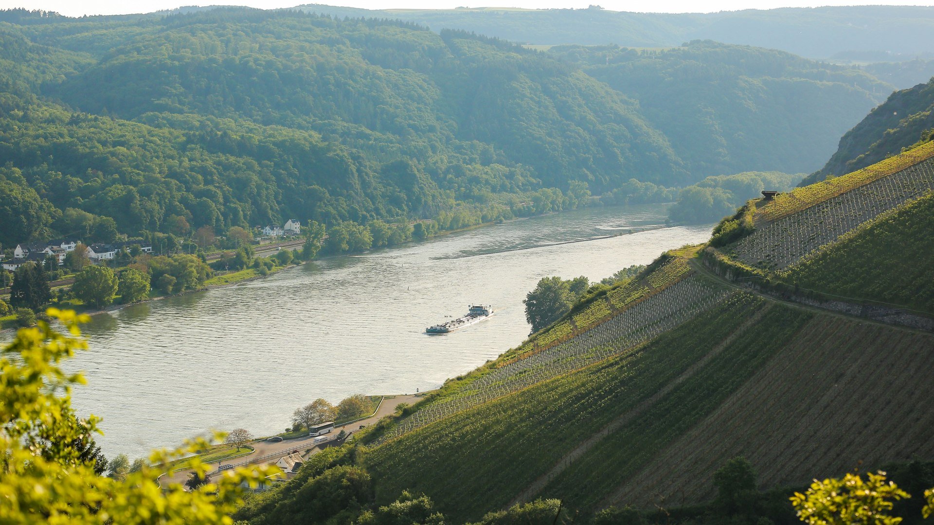 Steep vineyards near St. Goarshausen | © Henry Tornow