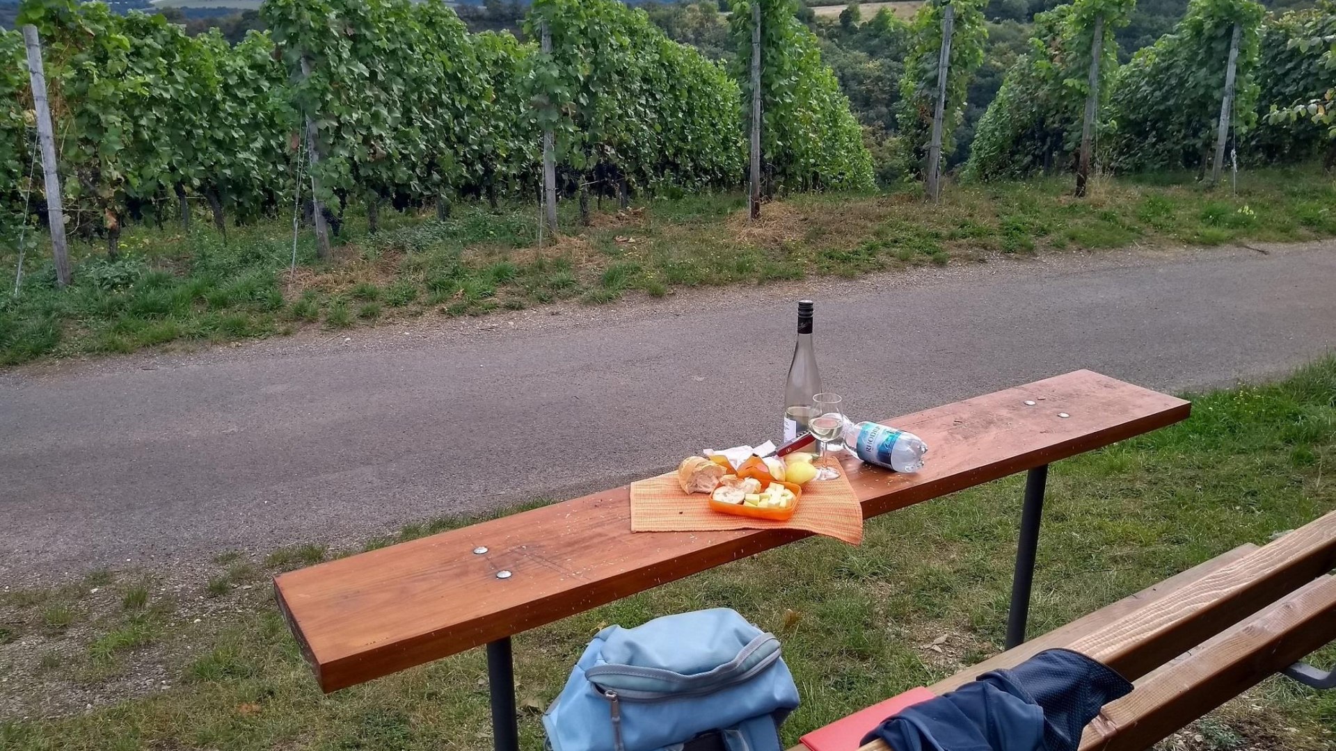 Picknickbank am Weinberg | © E. Bender