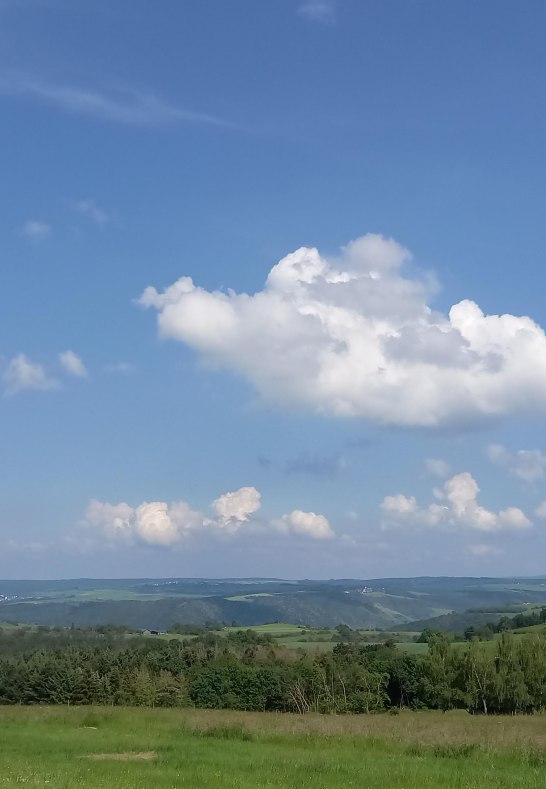 Fernsicht von der Grillhütte | © C. Vogt