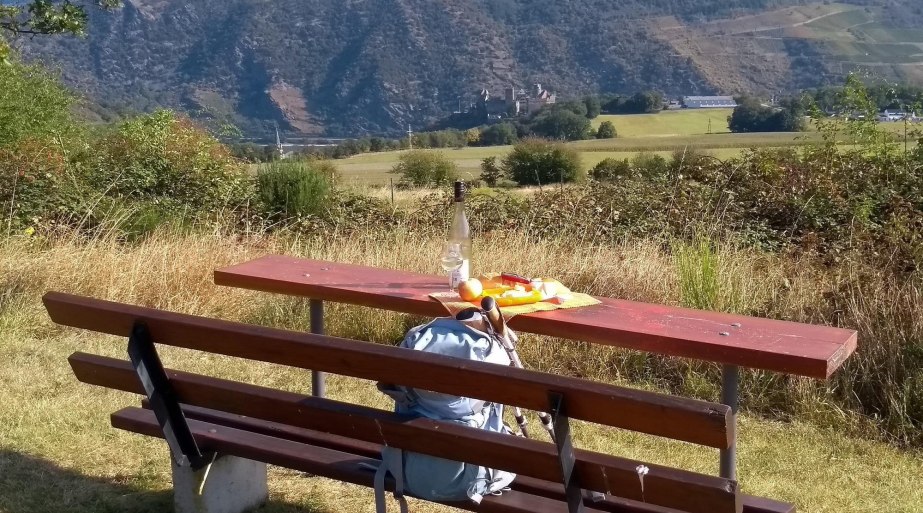 Picknickbank auf der Bitz mit Schönburgblick | © E. Bender