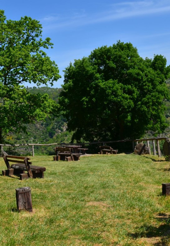 Pfalzblick 4 | © Tourist-Information Oberwesel