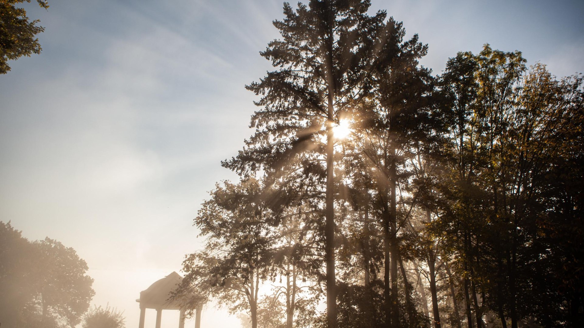 Osteinscher Niederwald Park | © HA Hessen Tourismus, k22