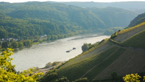 Die Steilhänge der Winzer bei St. Goarshausen | © Henry Tornow